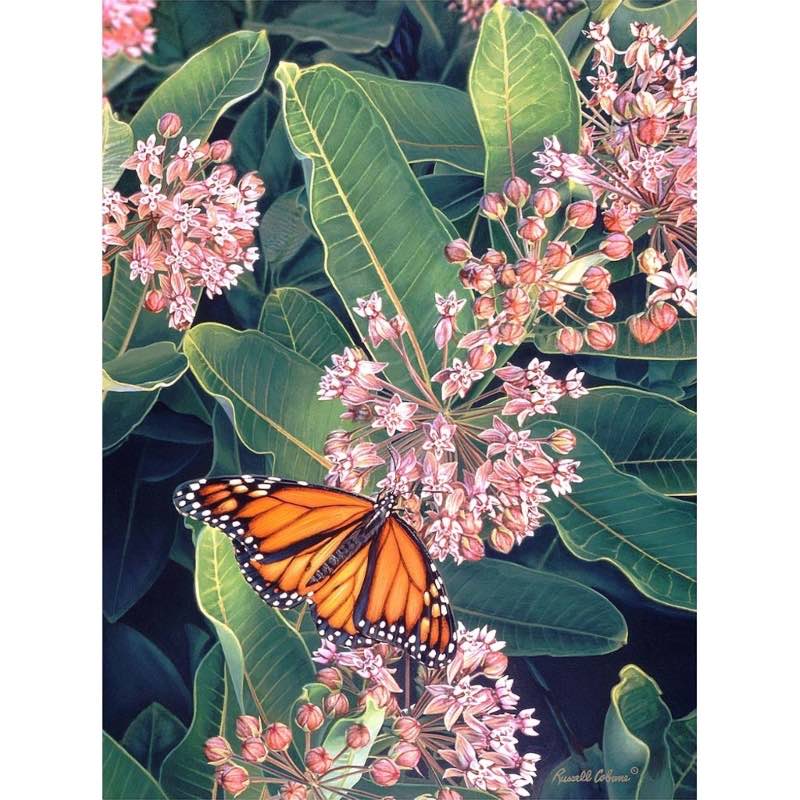 Monarch Butterfly on Milkweed 1000-Piece Puzzle