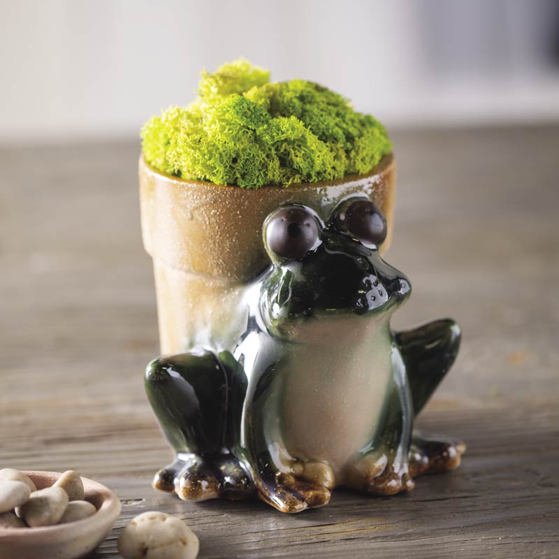 Stoneware Frog Planter