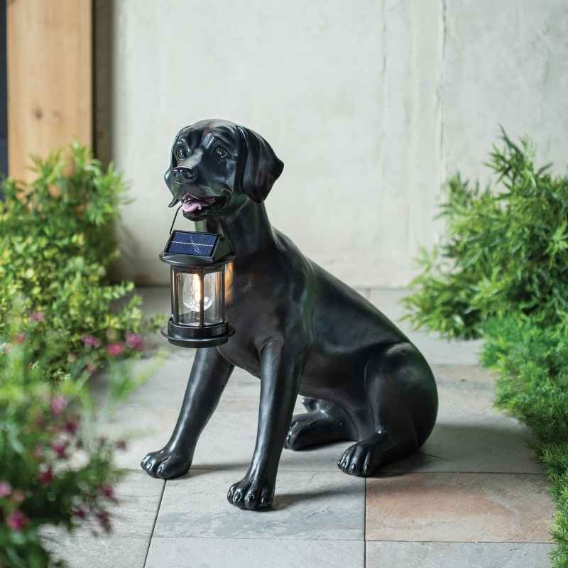 Black Labrador Dog Statue Holding A Solar Lantern