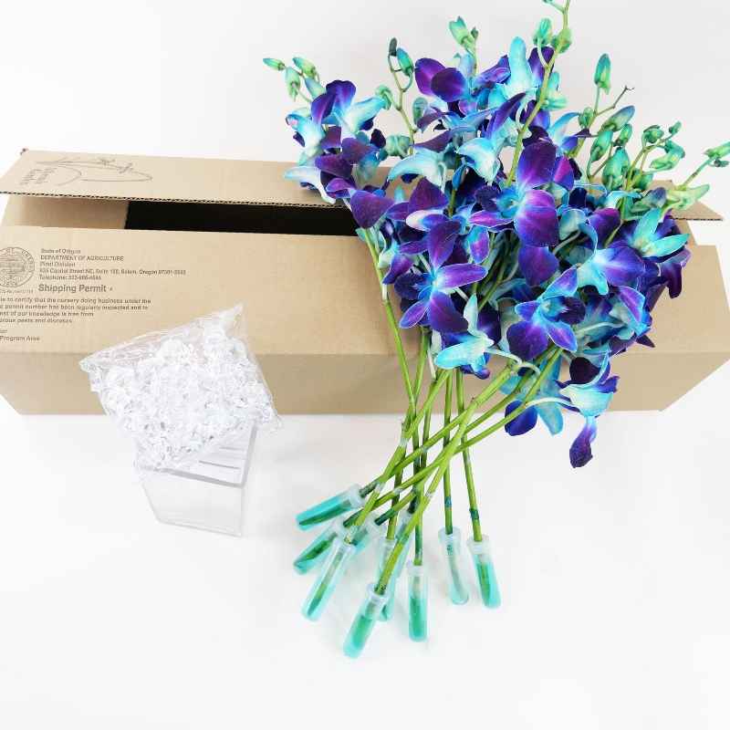 Beautiful Blue Orchids, Ready for Delivery