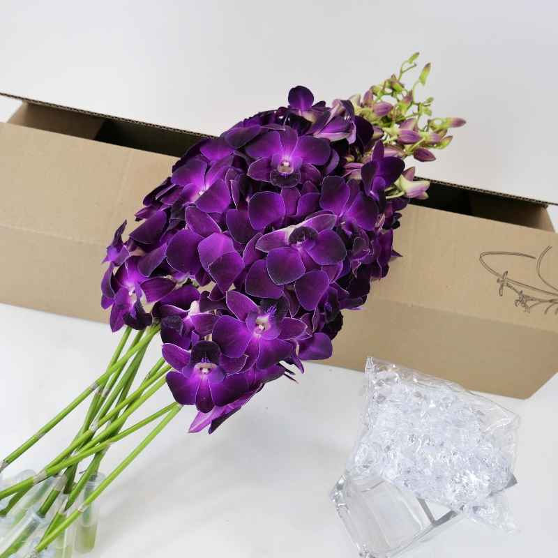 Deep Purple Orchids, Ready for Delivery