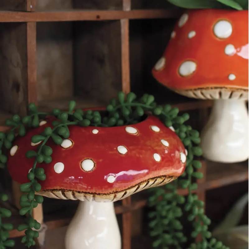 Ceramic Toadstool Wall Planters, Set of 2