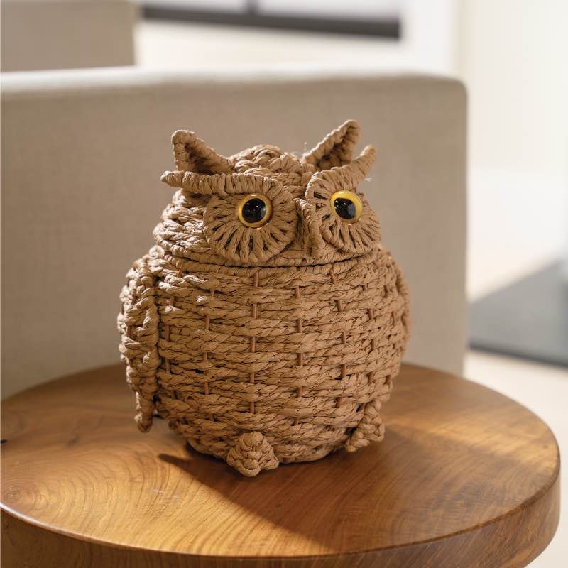 Owl Handwoven Basket