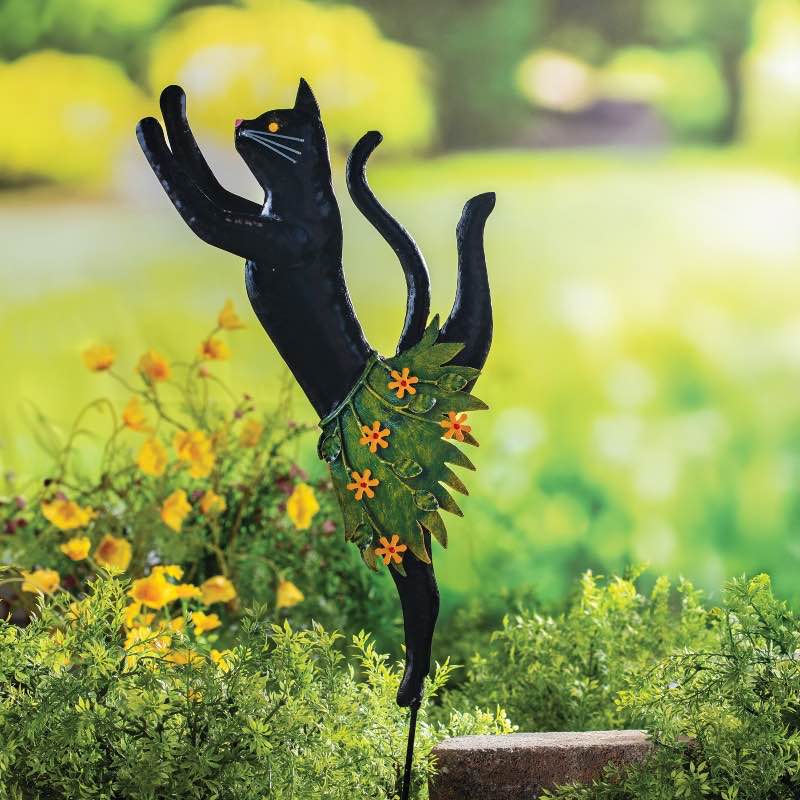 Cat Ballerina Stakes, Set of 2