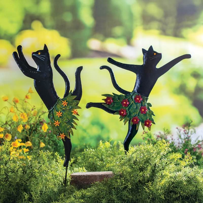 Cat Ballerina Stakes, Set of 2