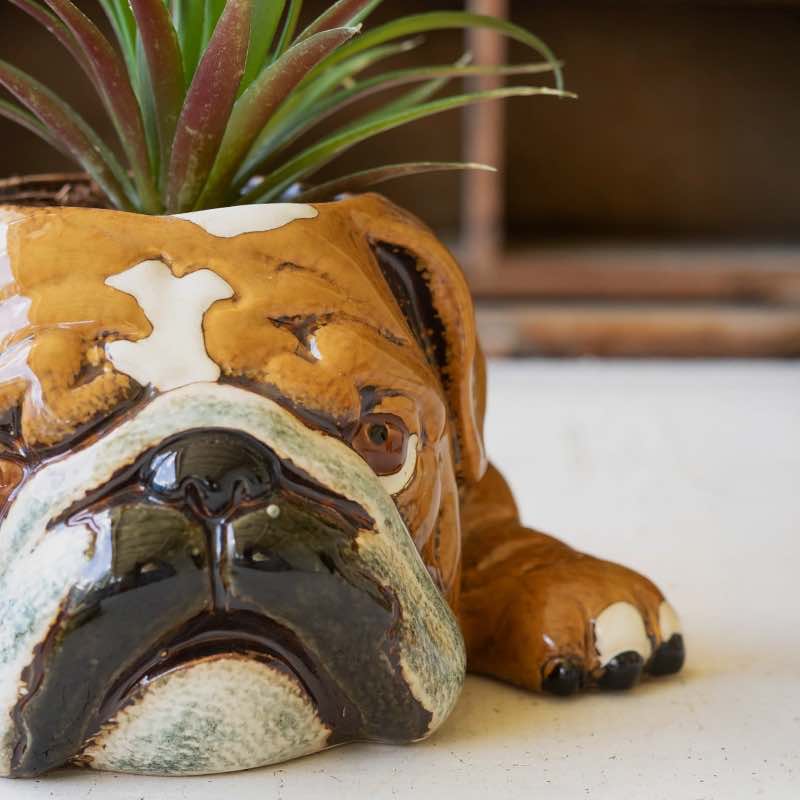 Ceramic Bulldog Planter