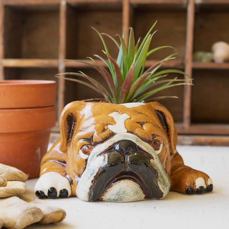 Ceramic Bulldog Planter
