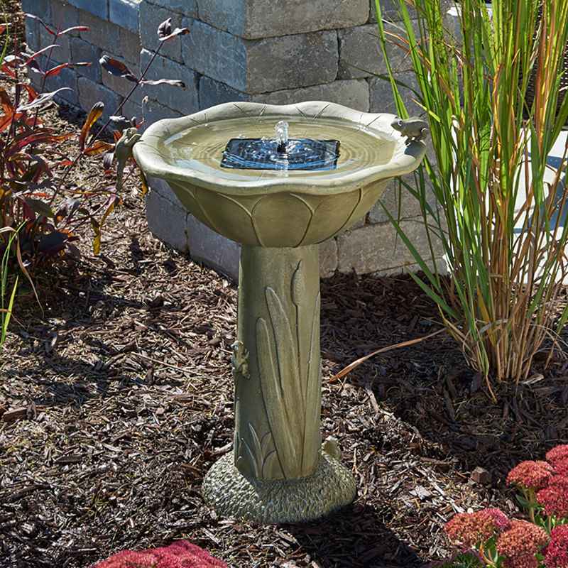 Smart Solar Acadia Frog Birdbath